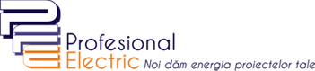 Profesional Electric